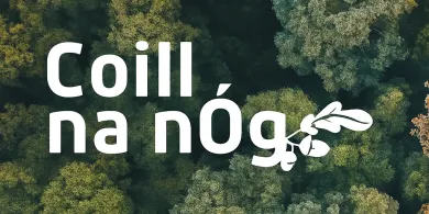The image shows a background full of trees. The text reads "Coill na nÓg".